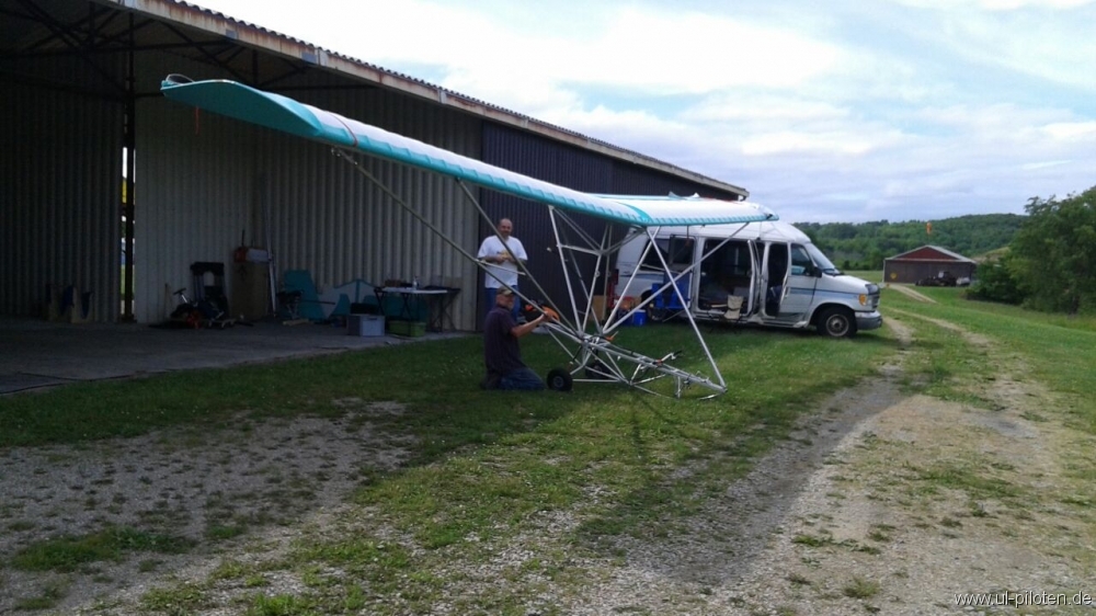 Toom's Zigolo The flying Rose